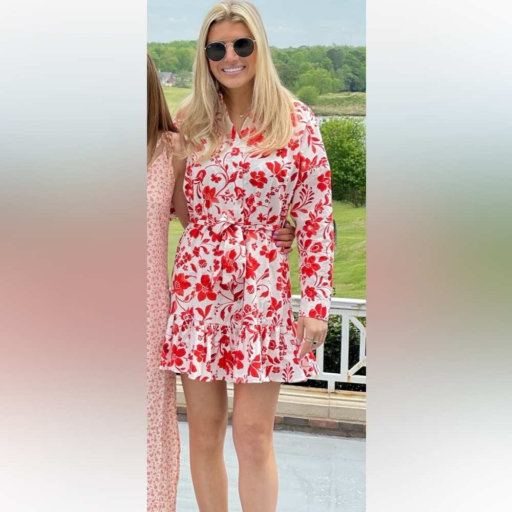 Zara dress